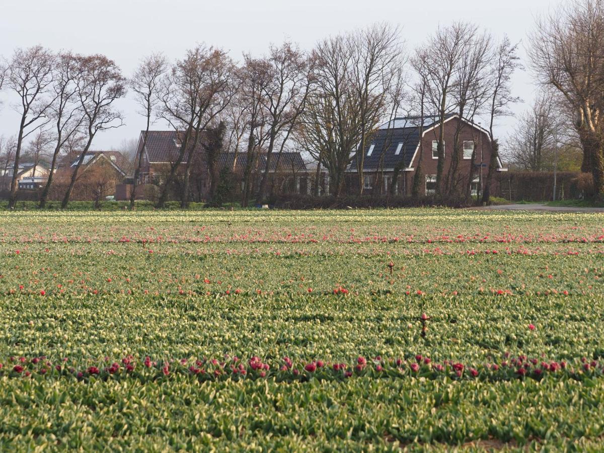 Lowlander Bnb Heemskerk Extérieur photo